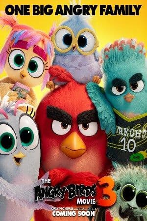 The Angry Birds Movie 3 poster