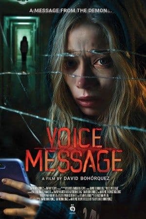 Voice Message poster