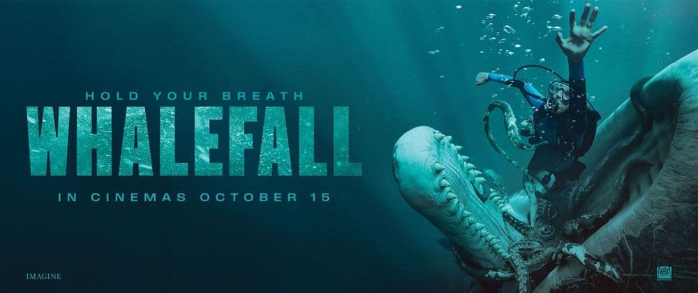 reel-1900x800-1.jpg